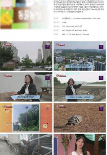 TV 동물농장.E1126.230625.1080p.H264-F1RST