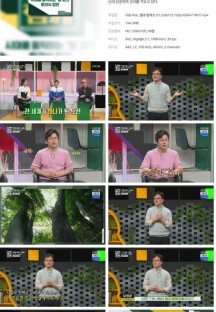 이슈 Pick, 쌤과 함께.E121.230212.720p.H264-F1RST.mp4